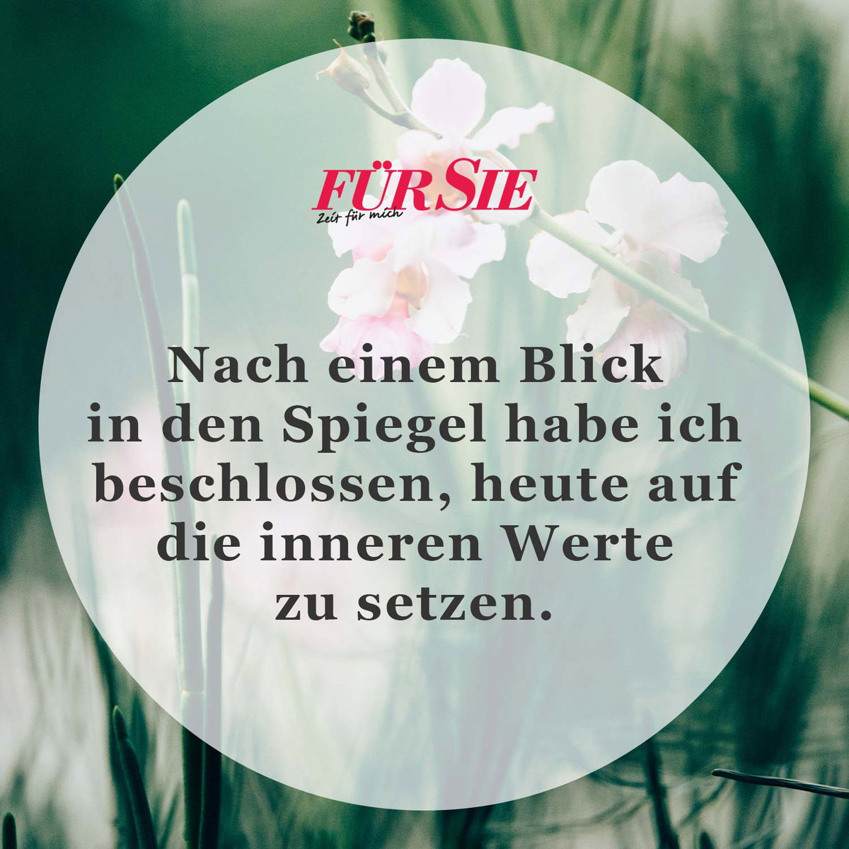 Spruch des Tages