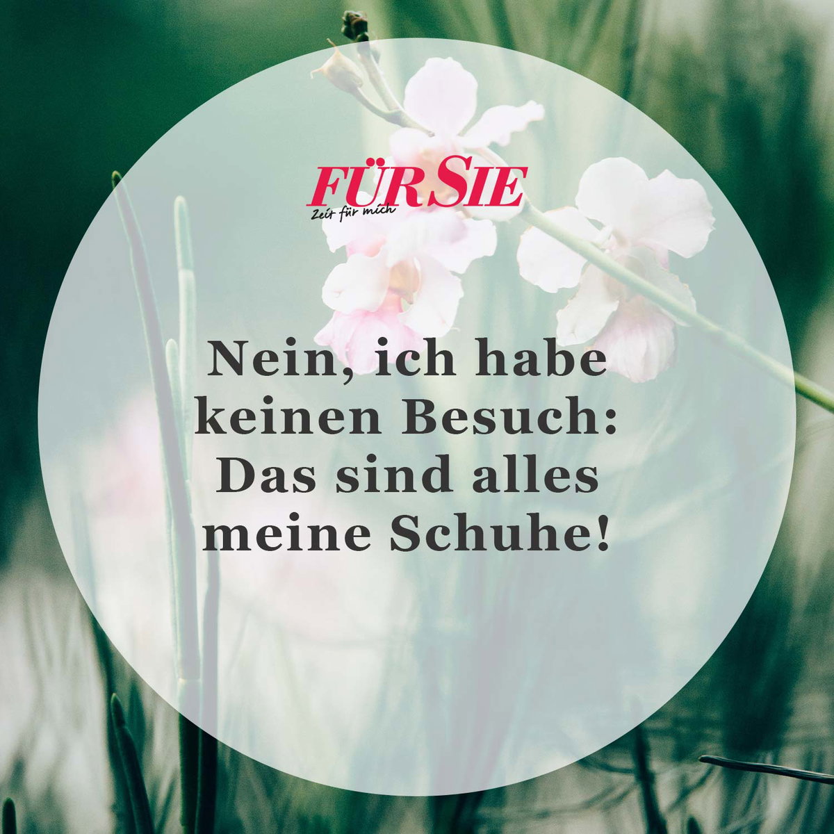 Spruch des Tages