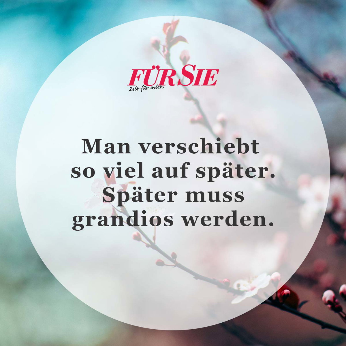 Spruch des Tages