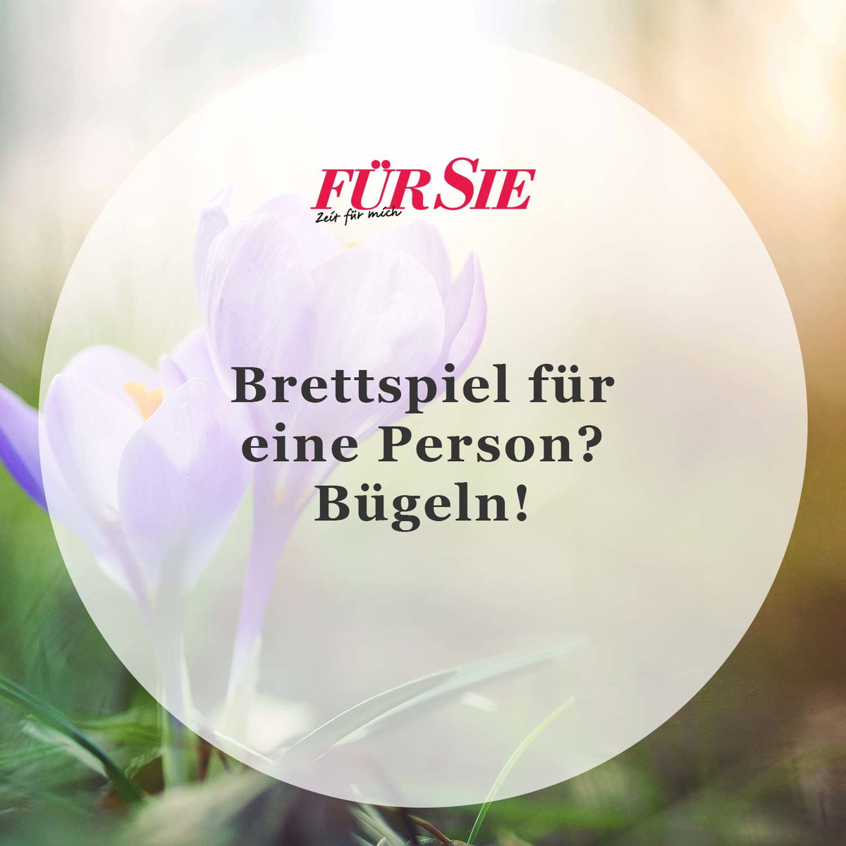 Spruch des Tages