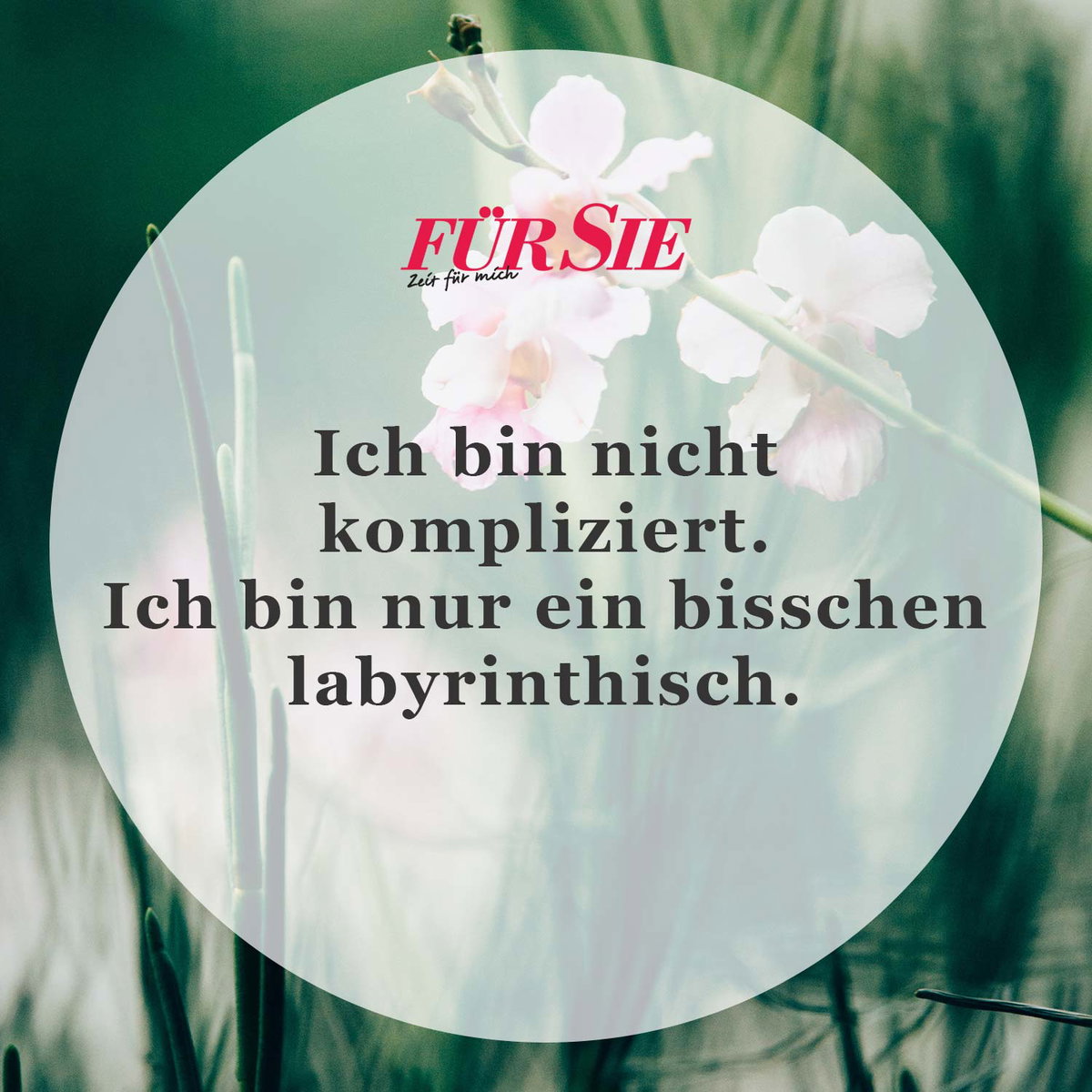 Spruch des Tages