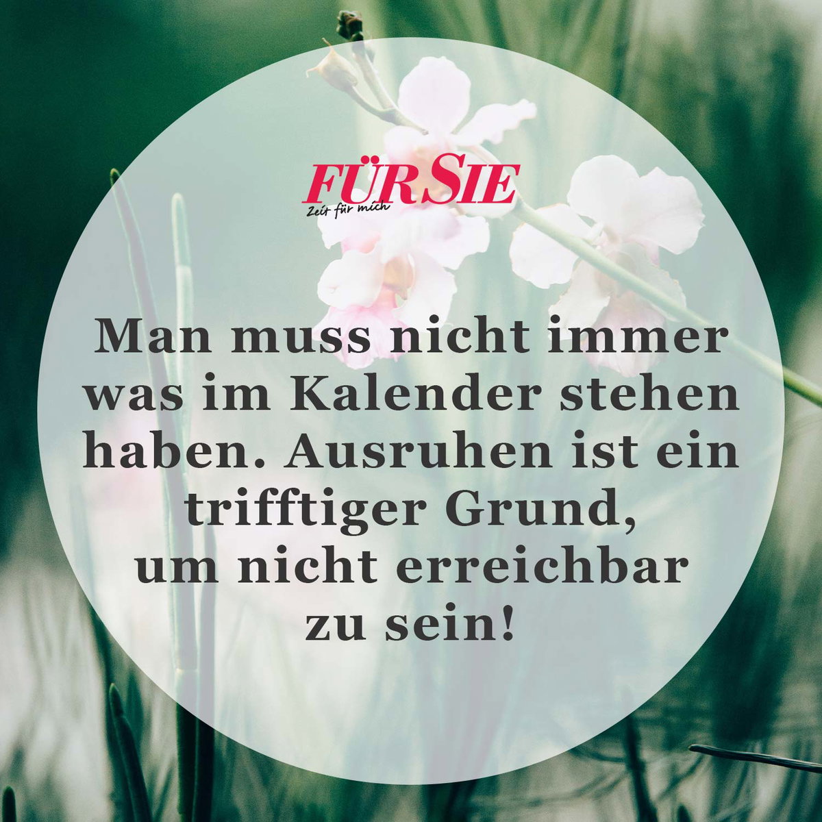 Spruch des Tages
