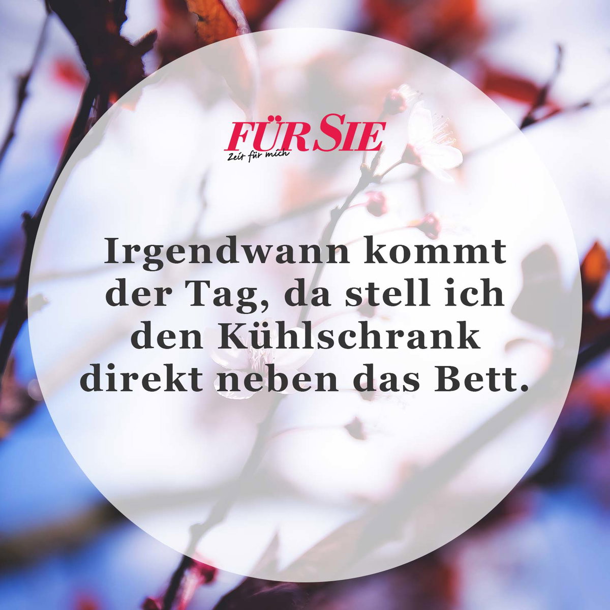 Unser Spruch des Tages für den 2. Juli
