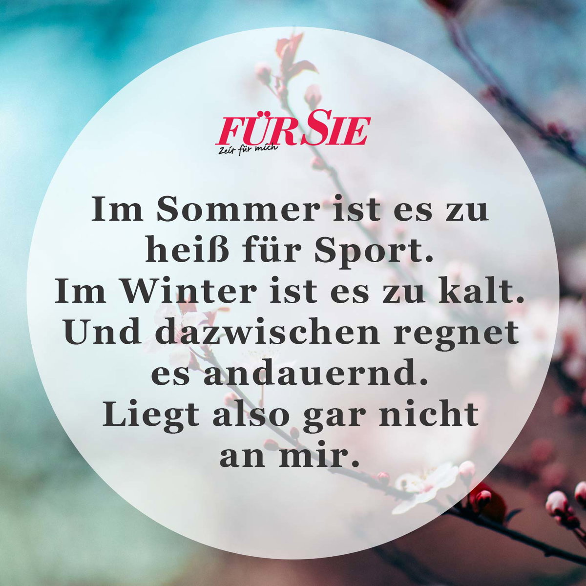 Spruch des Tages