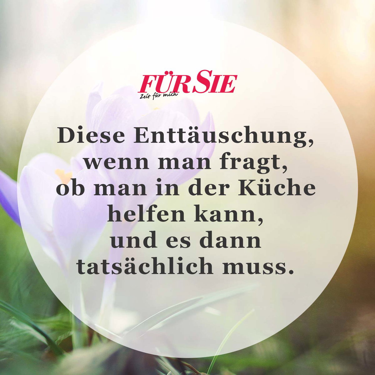 Spruch des Tages