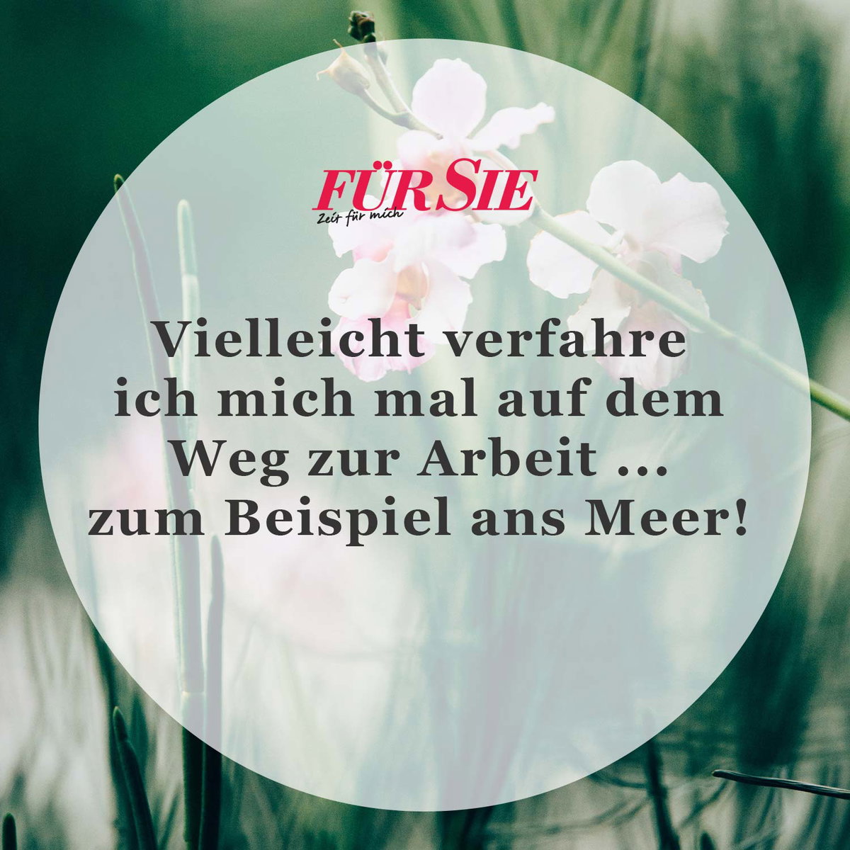 Spruch des Tages