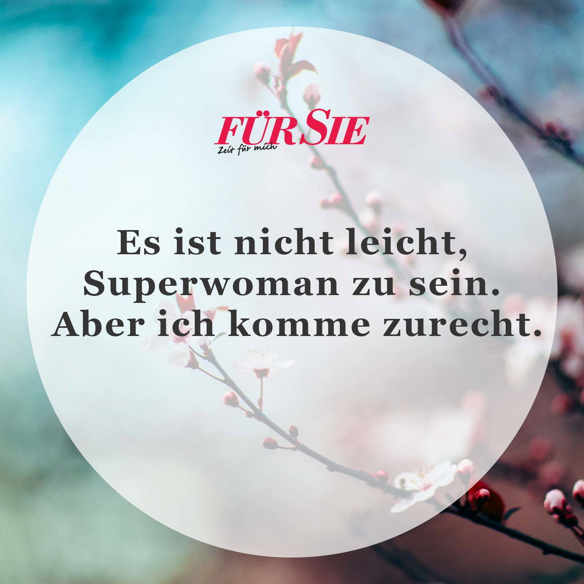Spruch des Tages