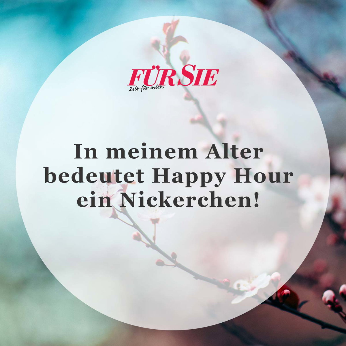 Spruch des Tages