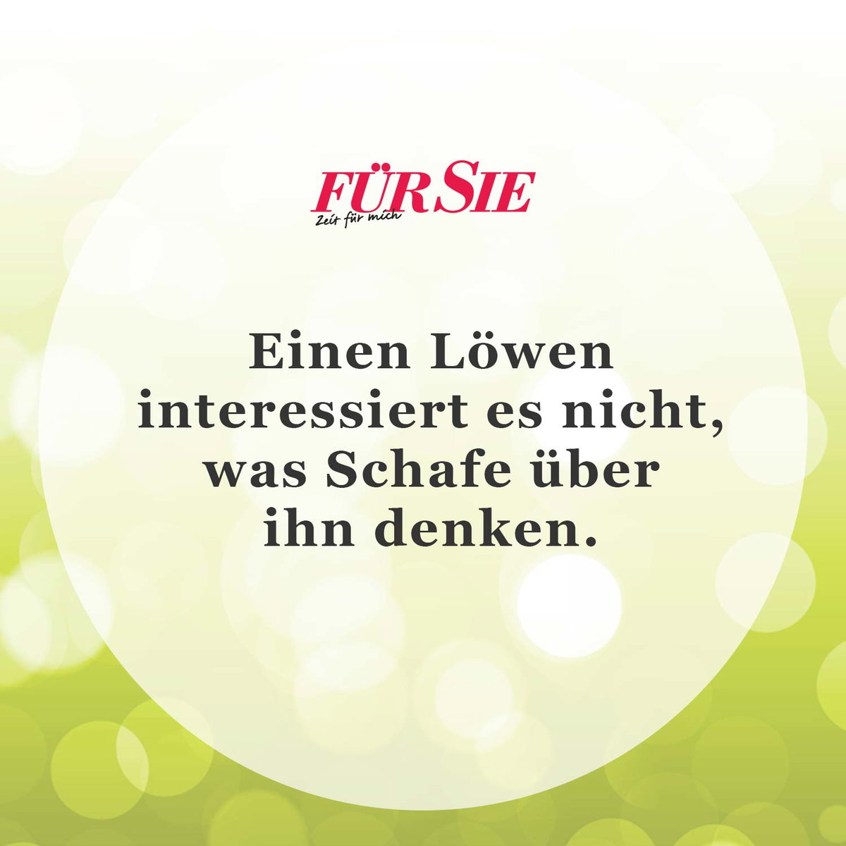 Spruch des Tages 25. Oktober