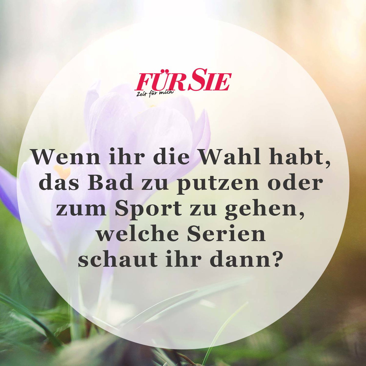Spruch des Tages