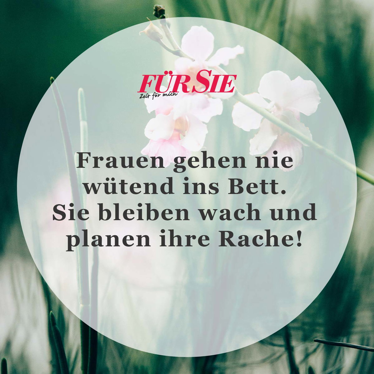 Spruch des Tages