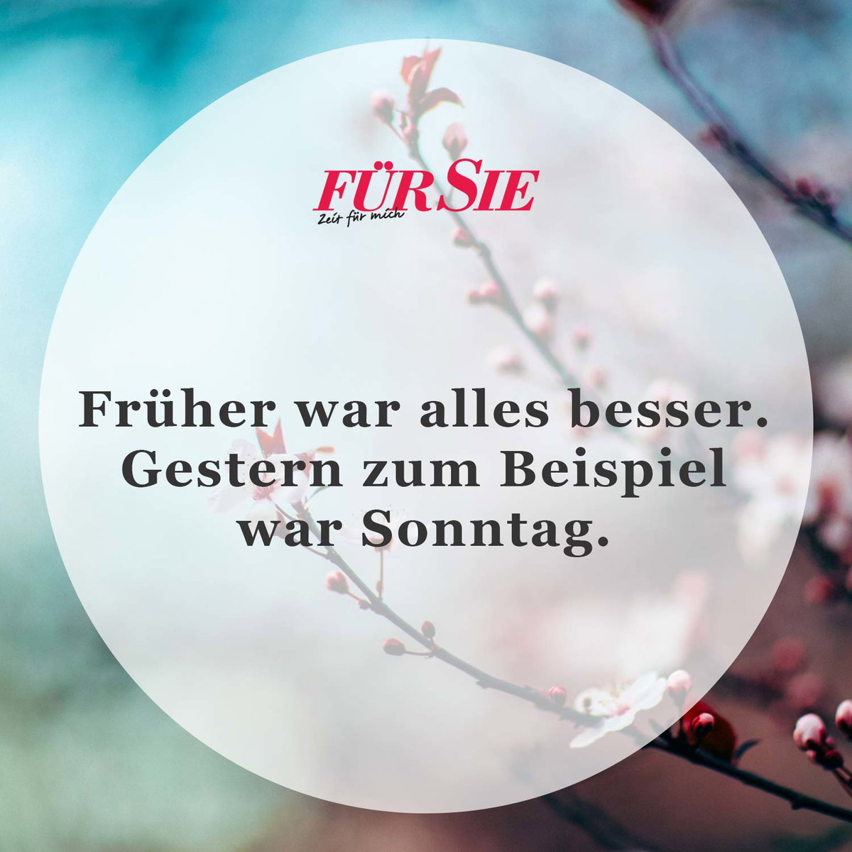 Spruch des Tages