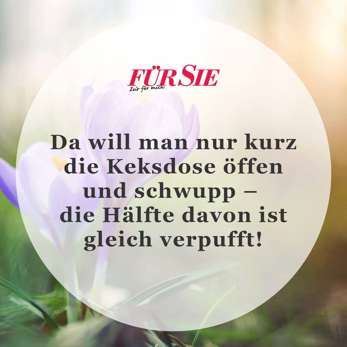 Spruch des Tages