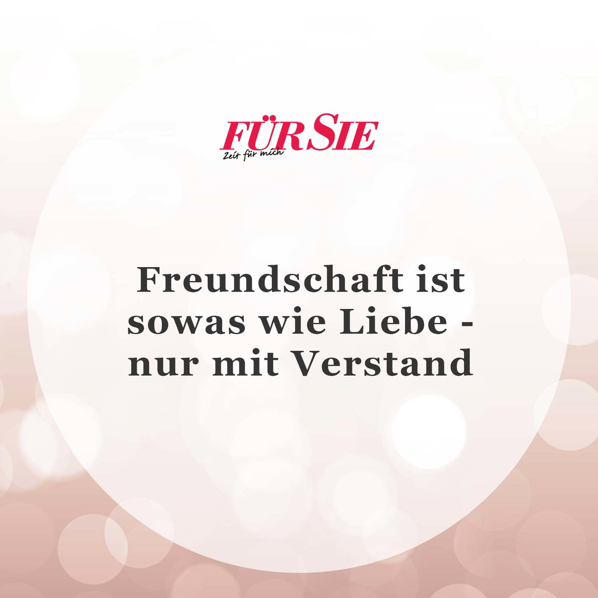 Spruch des Tages 31. Oktober