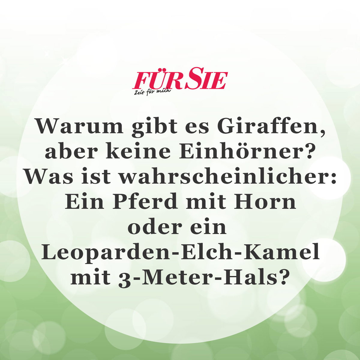Der Spruch des Tages für den Januar