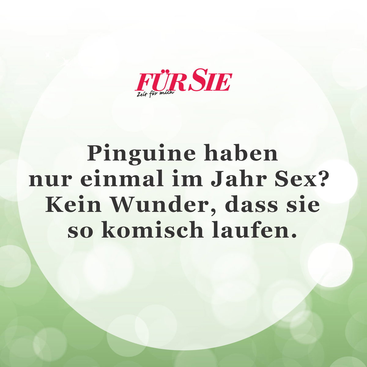 Spruch des Tages für den März