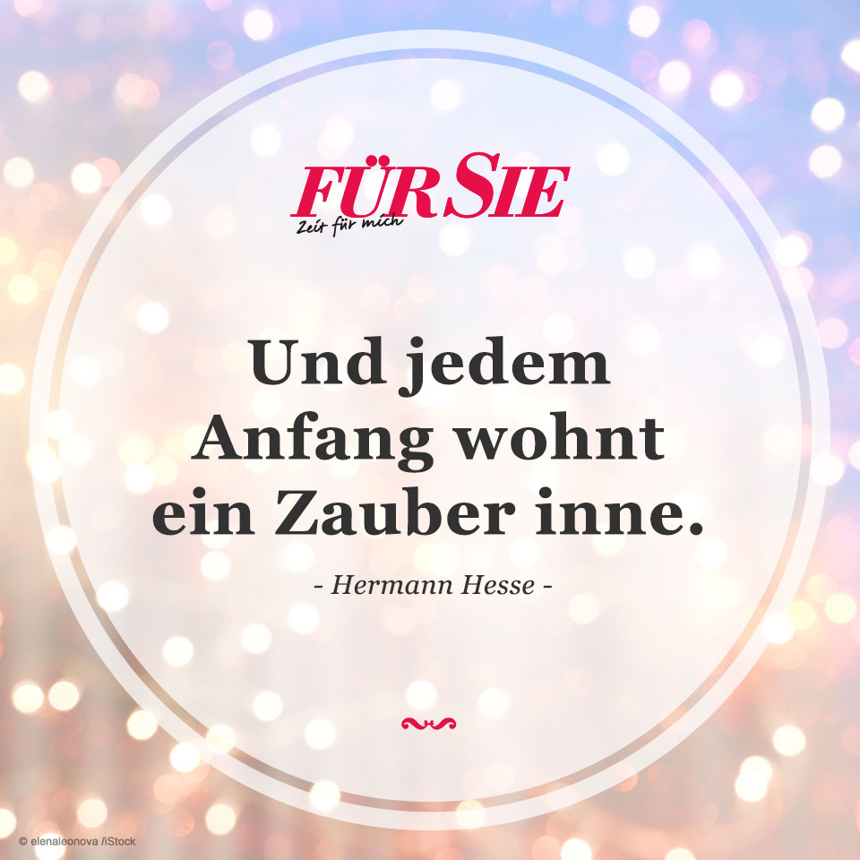 Spruch des Tages