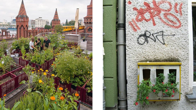 Grüne Oasen, soweit das Auge reicht