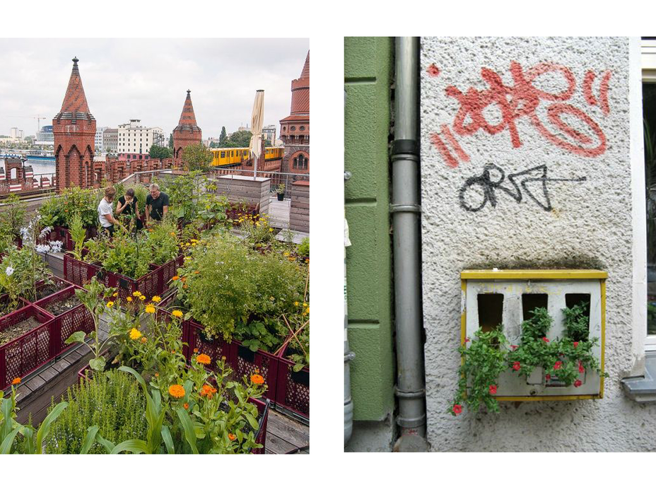 Urban Gardening sorgt für mehr Pflanzen in der Stadt