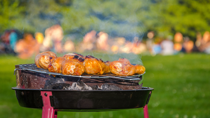 Grillvergnügen im Park