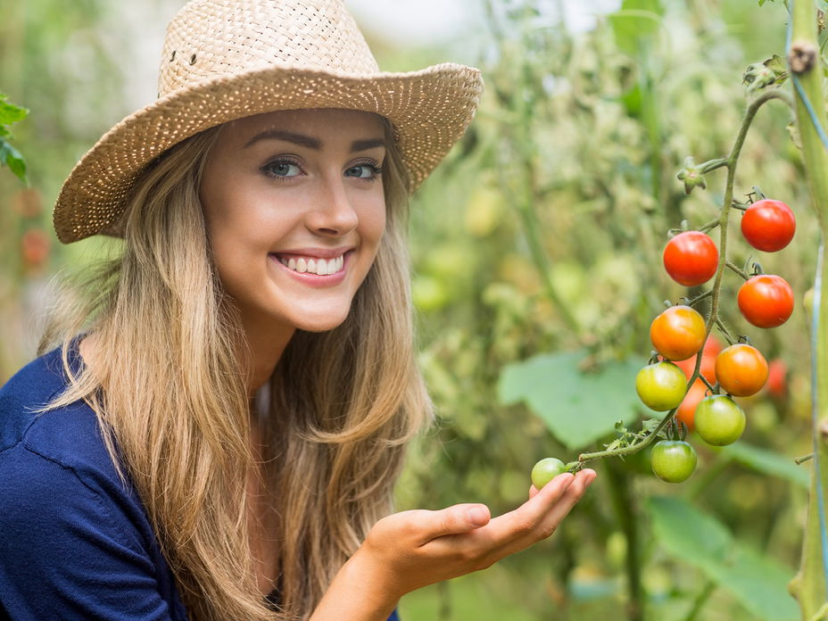 Gärtnerin mit Tomatenpflanze