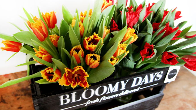 Welche Blumen passen in welche Vase? 