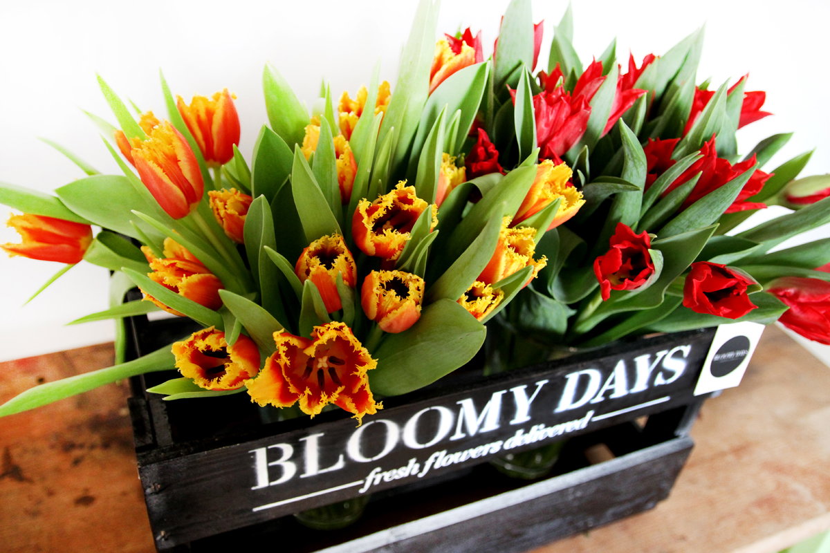 Tulpenkiste