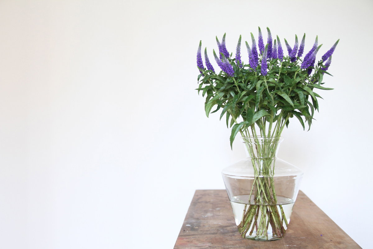 Veronica Vase