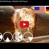 Bananenkuchen