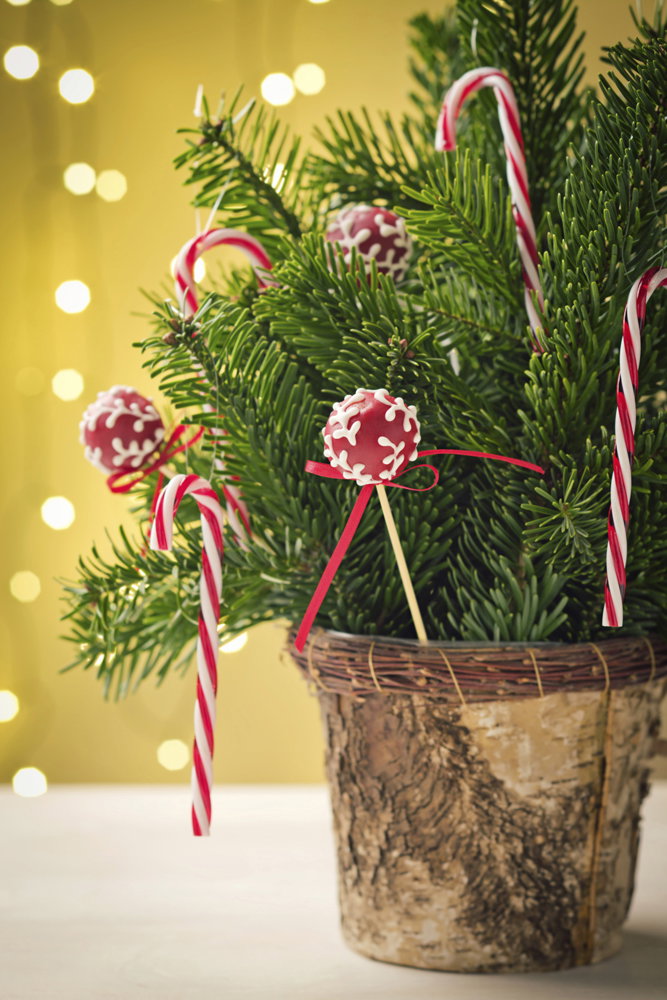 Weihnachtliche Cakepops