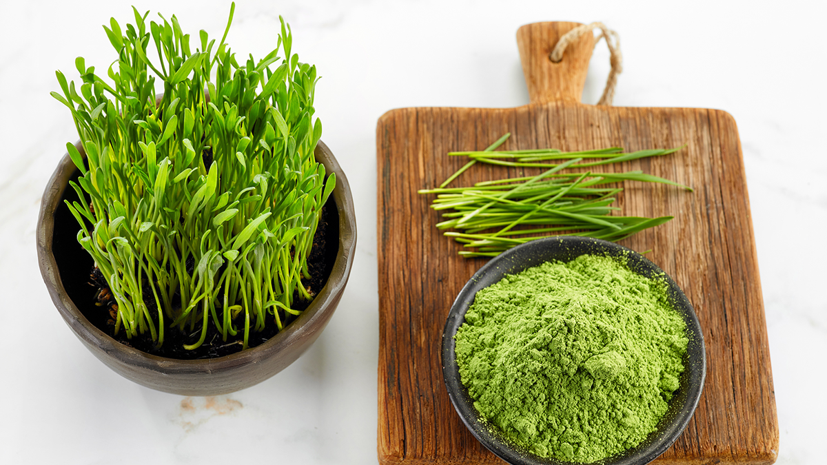 Weizengras: Wie gesund ist es wirklich?