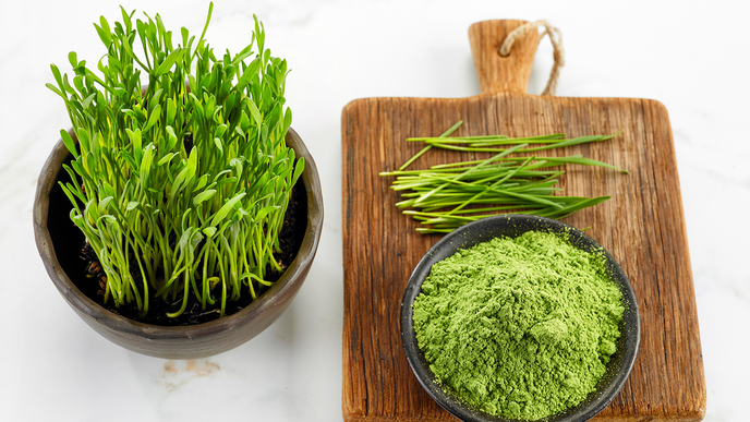 Weizengras: Wie gesund ist es wirklich?