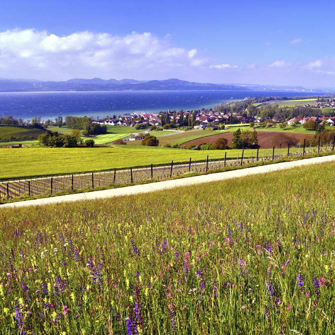 Yverdon les Bains in der Schweiz