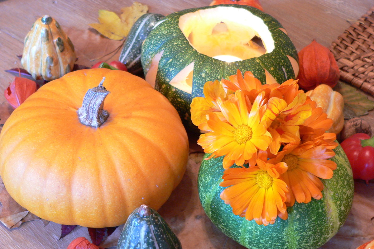 Zierkürbisse