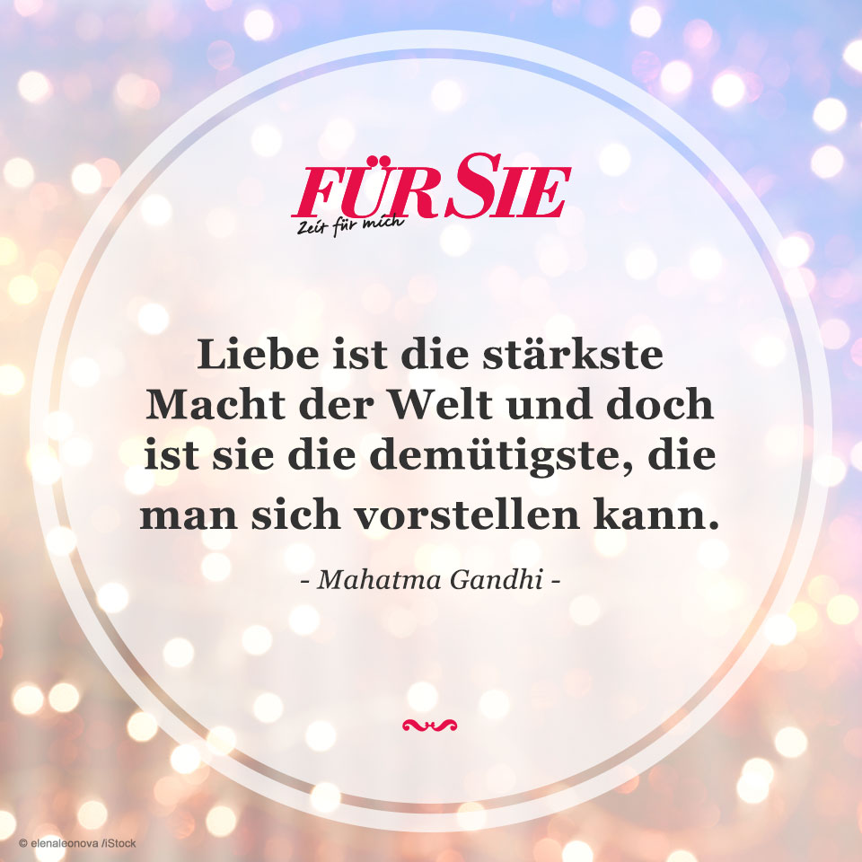 Spruch des Tages