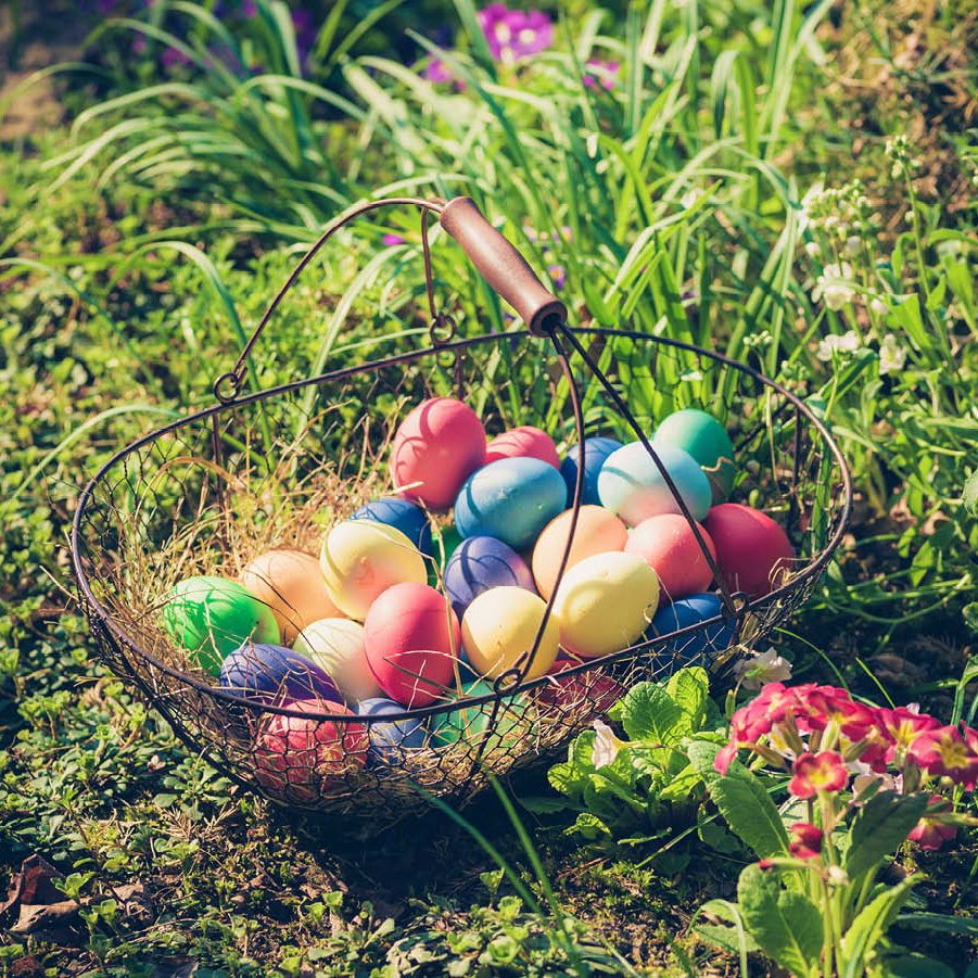 Bunte Ostereier im Korb